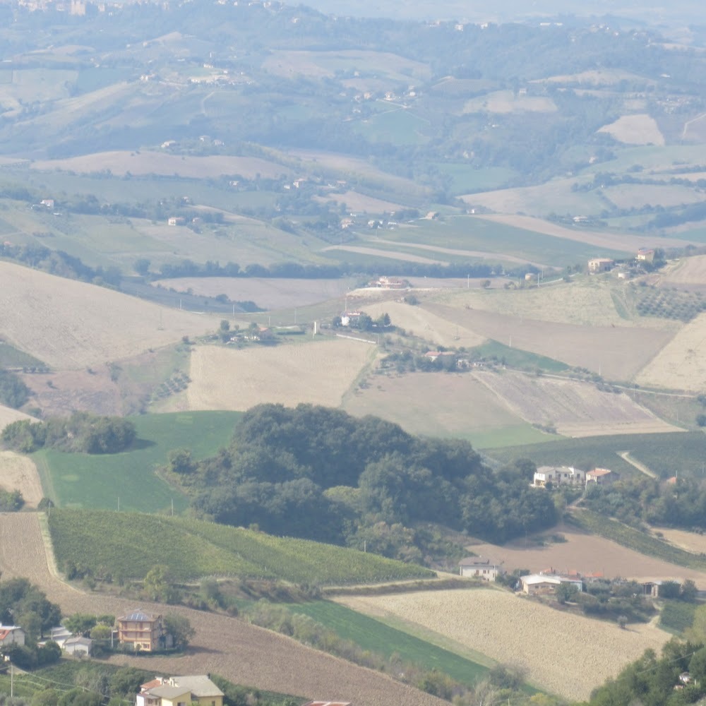 Meet your Posher, Yolany